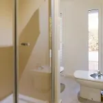 B *